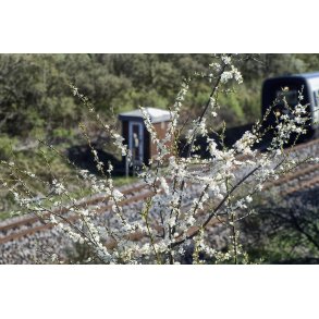 Jernbane ved Fladbro