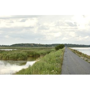 Stemnings billede fra Ulvedybet ved Limfjorden tt p Gjl