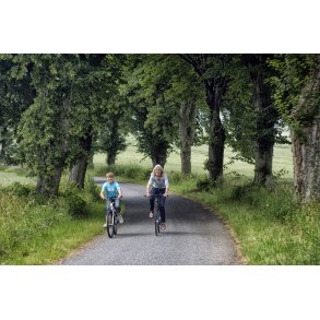 All&egrave; ved �rum kirke