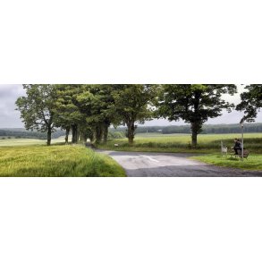 All&egrave; ved �rum kirke