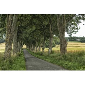 All&egrave; ved �rum kirke