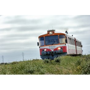 VLTJ p Harbore tange