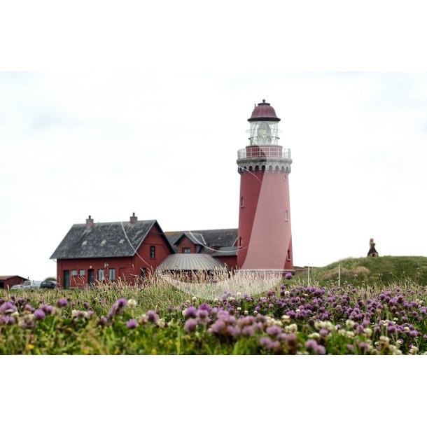 Bovbjerg fyr