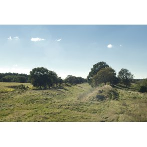 Dannevirke (norrnt: Danavirki, gammeldansk: danwirchi, tysk: Danewerk