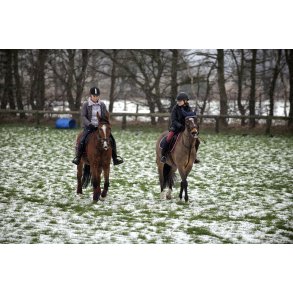 Heste og ryttere p� mark ved Randers