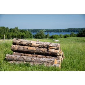 Br�ndestabel ved Mariager Fjord