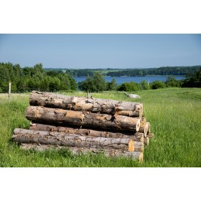 Br�ndestabel ved Jomfrubakken med udsigt til Mariager Fjord