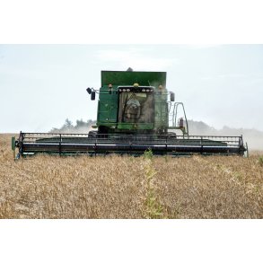 H�st med John Deere mejet�rsker p� mark i V�rum ved Randers