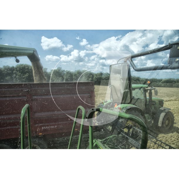 Hst med John Deere mejetrsker p mark i Vrum ved Randers