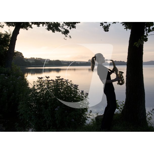 Morgen blues ved Fussing S�