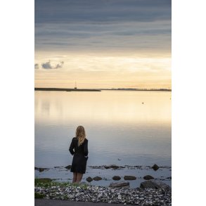Sommermorgen i Udbyh�j ved Randers Fjord