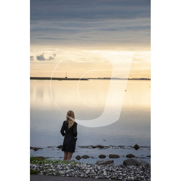 Sommermorgen i Udbyhj ved Randers Fjord