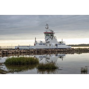 Udbyh�j F�rgen en tidlig morgen i f�rgelejet ved Randers Fjord