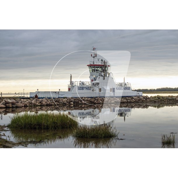 Udbyhj Frgen en tidlig morgen i frgelejet ved Randers Fjord