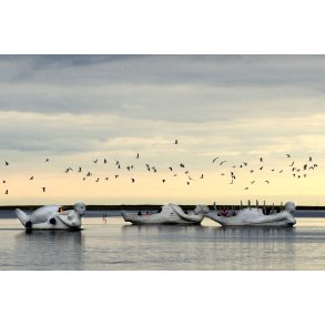 Life Boat en tidlig morgen i Udbyh�j havn ved Randers Fjord