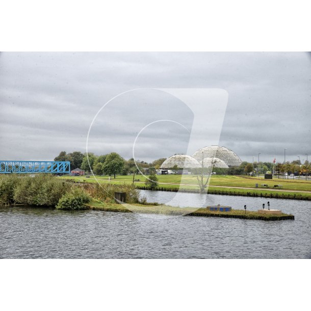 Randers Regnskov, Paradisen og Den Bl Bro