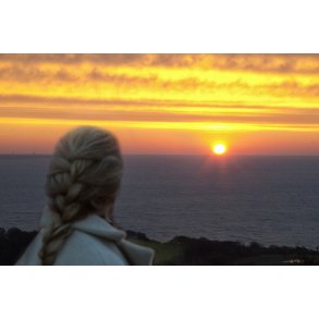 Solopgang ved Fugles