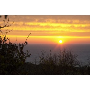 Solopgang ved Fugles