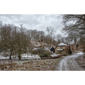 Vinter i Fussing� skov