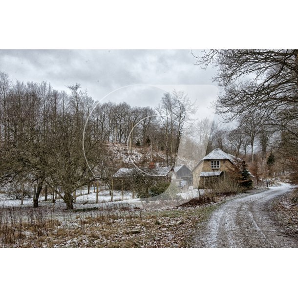 Vinter i Fussing skov