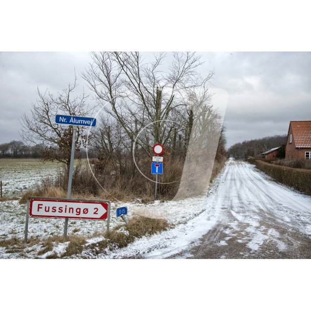 Vinter i udkanten af Fussing skov