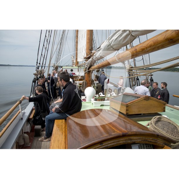 Sejlads med gammel skonnert p Mariager Fjord