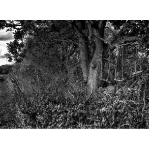 Hjemmelavede gynger i Beder ved Aarhus