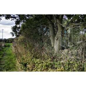 Hjemmelavede gynger i Beder ved Aarhus