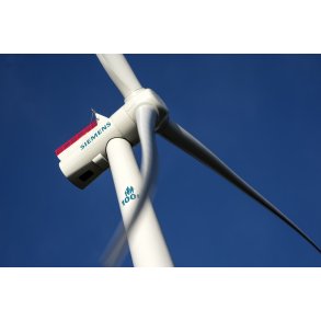 Siemens vindmlle i sterild Klitplantage