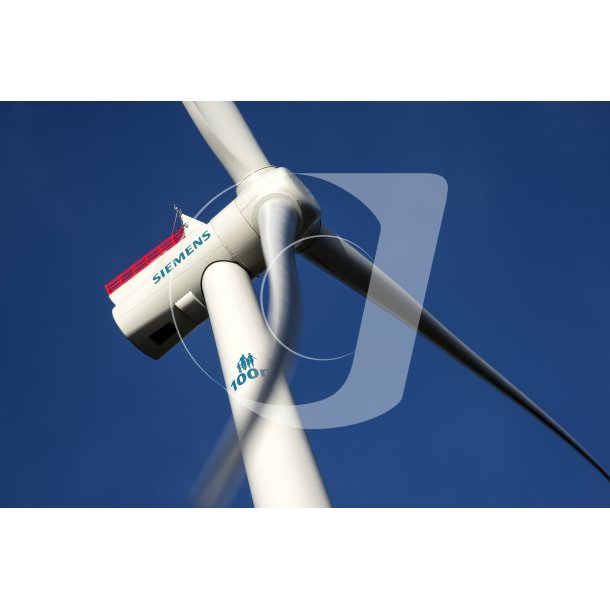 Siemens vindmlle i sterild klitplantage