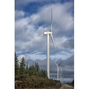 Siemens vindmlle i sterild klitplantage