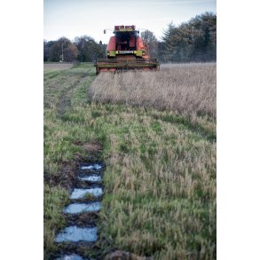 H�st i oktober efter v�d sensommer i Helsted ved Randers