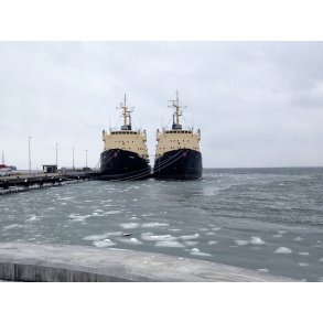 DANBJRN og ISBJRN i Hals havn ved Limfjorden