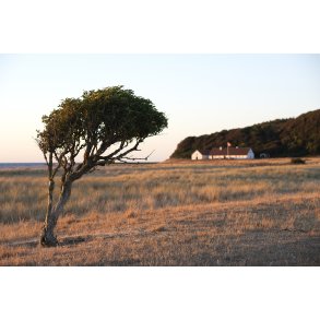 Aftensol over en Hjelm