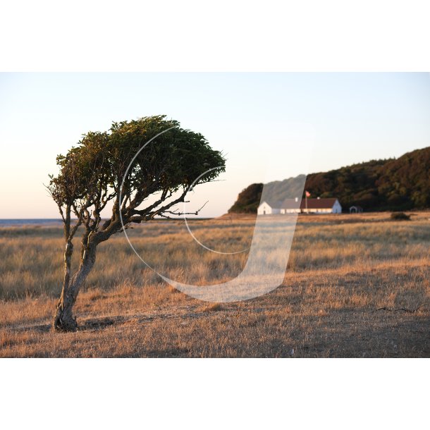 Aftensol over en Hjelm