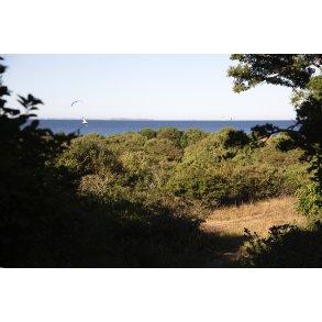 en Hjelm med Sams i baggrunden