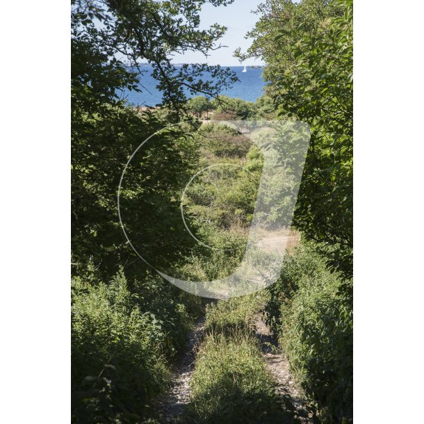 Naturen p en Hjelm