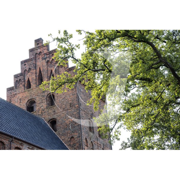 Sankt Nicolai Kirke, eller bare Middelfart Kirke