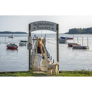 Sensommer stemning ved Fn Sund i Middelfart