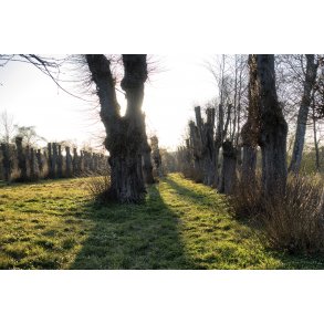 Gl. Have ved Fussing�