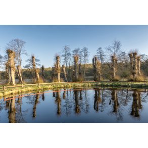 Gl. Have ved Fussing�