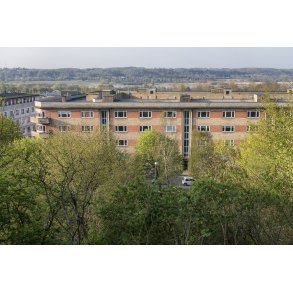 Parken ved Vester Altanvej