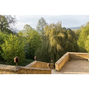 Sct. Clemens kirke og Vestparken