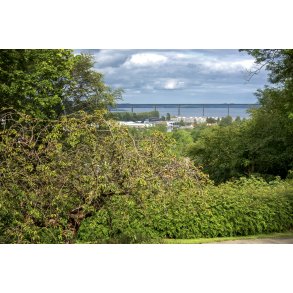 Udsigt mod broen over Vejle fjord set fra Tyrelodspynten i Vejle