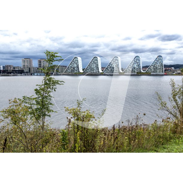 Blgen i Vejle