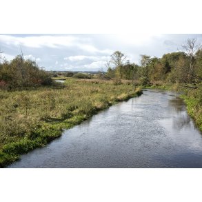 N�rre�en ved Fladbro