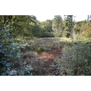 Christian d. 3's kanal ved Fladbro