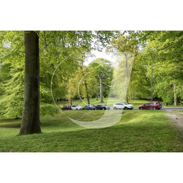 Parken omkring Vester Altanvej