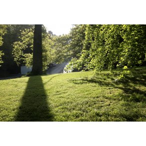 Parken ved Vester Altanvej