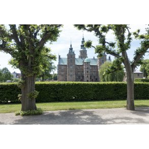 Rosenborg